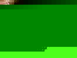 Юань и&nbsp;тенге продолжают обновлять максимум. Курс валют на&nbsp;11&nbsp;февраля 